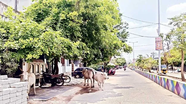 మండే ఎండలో వర్ష సూచన