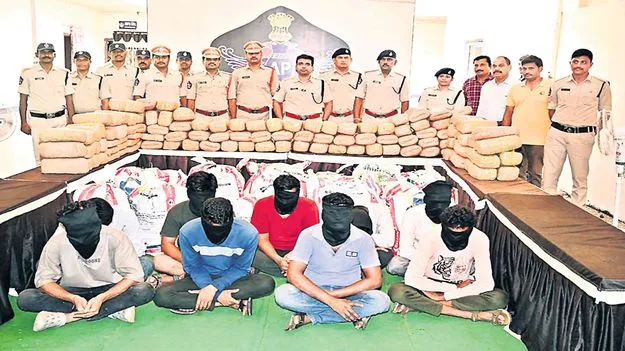 ఆయిల్‌ పామ్‌ తోటల్లో   గంజాయి డెన్‌