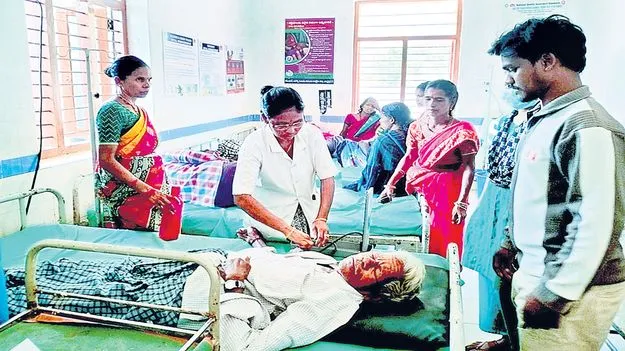 తేనెటీగల దాడిలో 23 మందికి గాయాలు