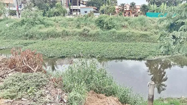 ఏలూరు కాలువను ఏం చేస్తారు?