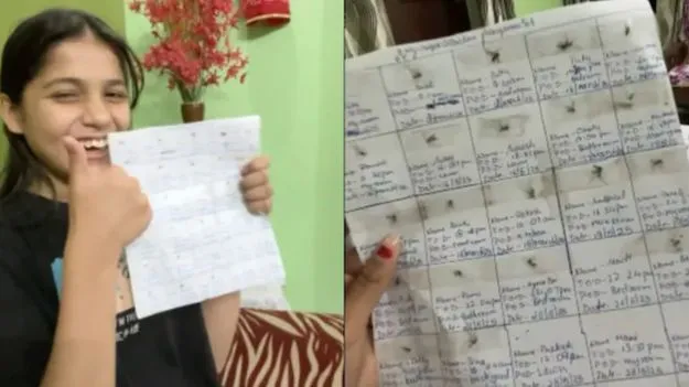 Girl's Strange Hobby: యువతి వింత హాబీ.. చచ్చిన దోమల్ని పేపర్‌పై అతికించి