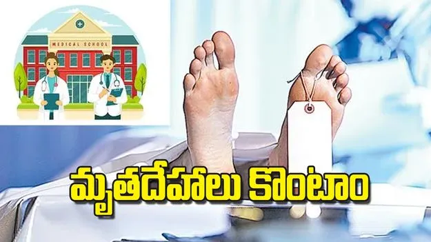 Cadaver Crisis: మృతదేహాలు కొంటాం