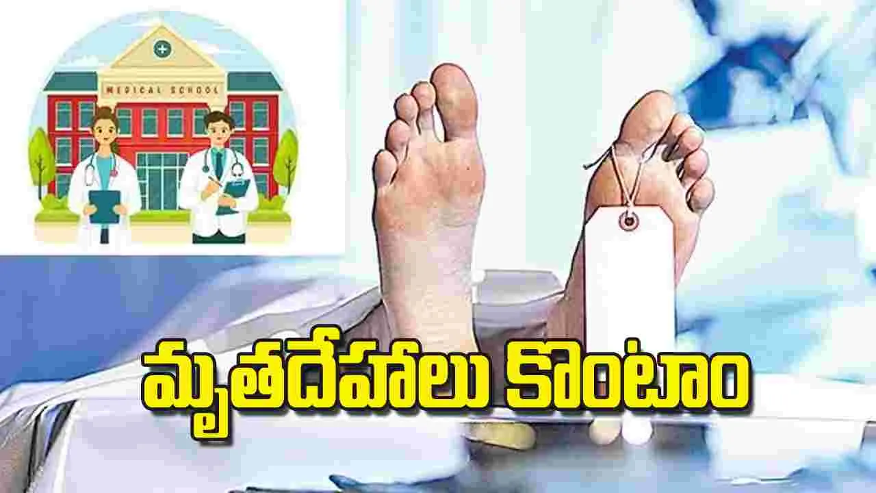 Cadaver Crisis: మృతదేహాలు కొంటాం