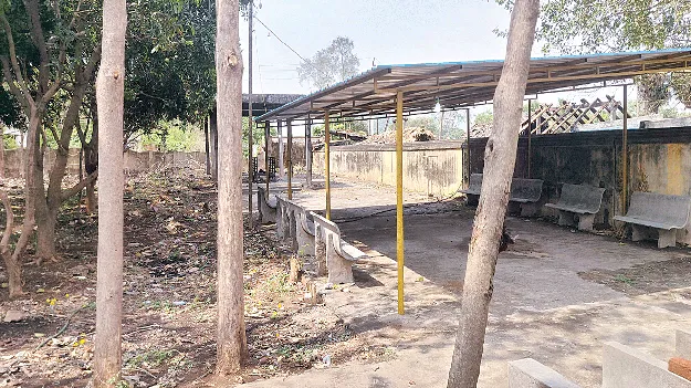 రుద్రభూమినీ వదలరా?