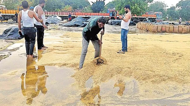 అకాల వర్షం.. తడిసిన ధాన్యం!