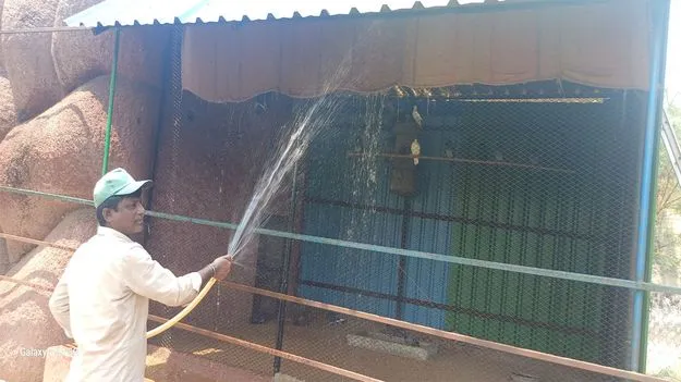 ఎండలకు అల్లాడుతున్న మూగజీవాలు