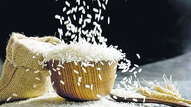 Rice Production: సస్యశ్యామల భారతం