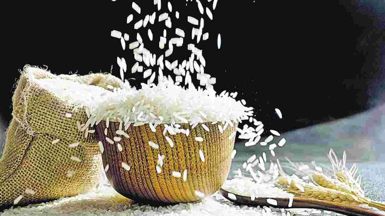 Rice Production: సస్యశ్యామల భారతం 