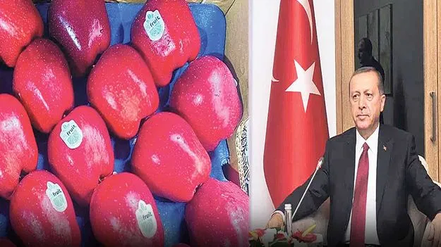 Boycott Turkey: తుర్కియే ఉత్పత్తులు వద్దు!
