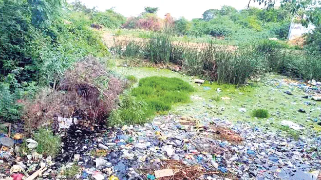 ఆక్రమణ చెరలో చెరువు అలుగు