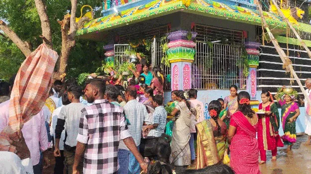 గొంటువారిపల్లెలో వైభవంగా పోలేరమ్మ జాతర 