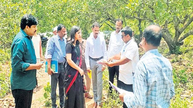     శెట్టిపాలెంలో కాఫీ పౌడర్‌ తయారీ కేంద్రం