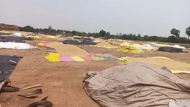 కొనుగోళ్లలో జాప్యం... 