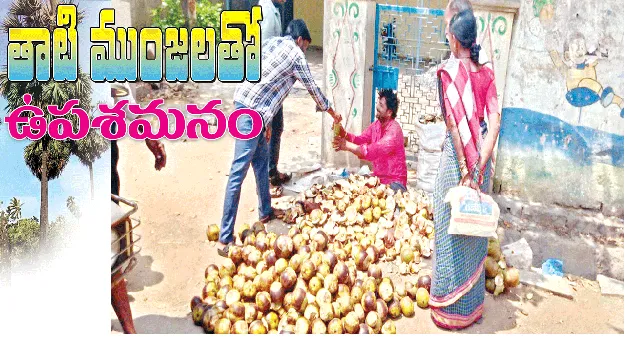 తాటి ముంజలతో ఉపశమనం