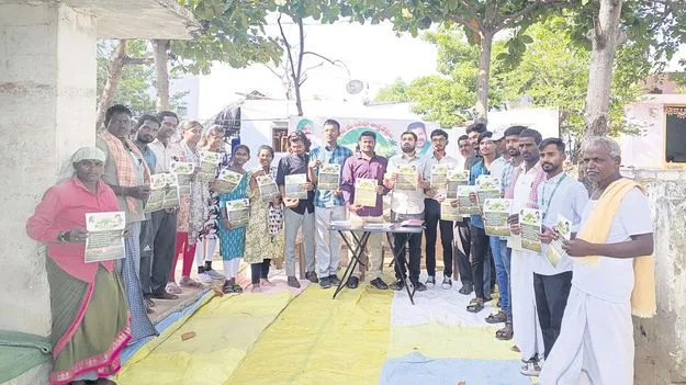 పంట మార్పిడితో అధిక దిగుబడులు