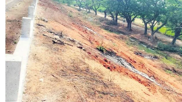 కంపచెట్లు పెరిగి.. రక్షణ గోడలు లేక