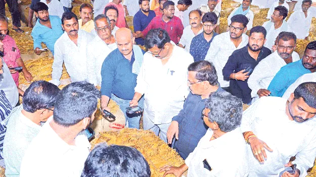 పొగాకు రైతులను ప్రభుత్వం ఆదుకుంటుంది