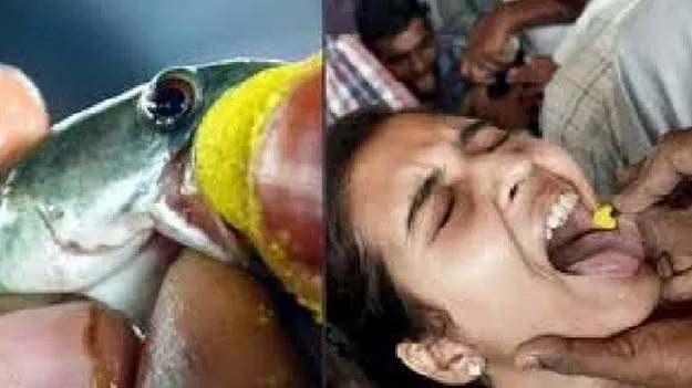Fish Medicine: జూన్‌ 8, 9వ తేదీల్లో చేప మందు పంపిణీ