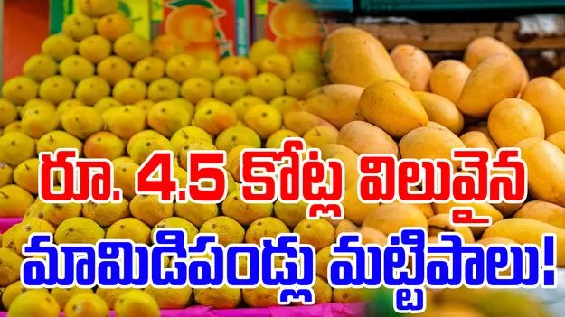 America junks Mango shipments: కోట్ల విలువైన భారత మామిడి పండ్లు మట్టిపాలు!