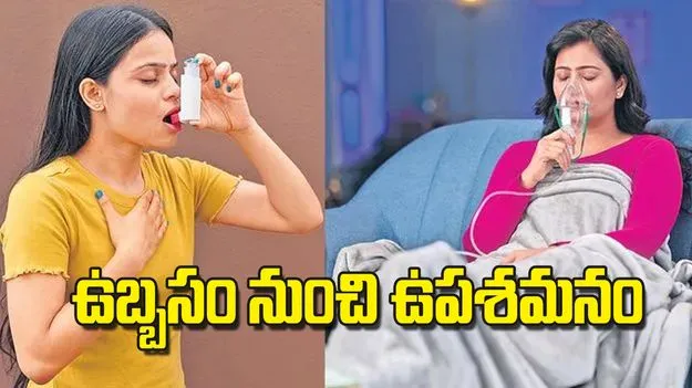 Asthma Awareness: ఉబ్బసం నుంచి ఉపశమనం