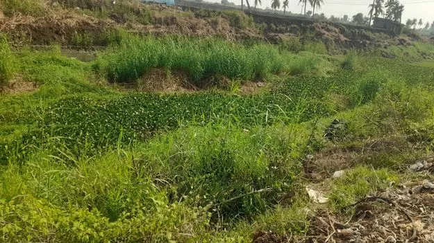 కిక్కిసలో నొక్కిసలాట