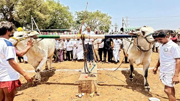 రైతులను ఉత్తేజ పరిచేందుకే బండలాగుడు పోటీలు 