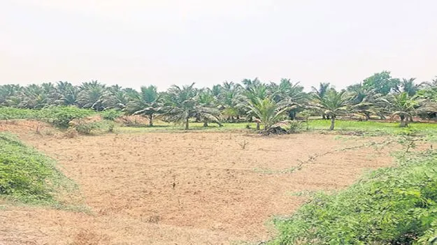 జిల్లాలో మరో బల్క్డ్రగ్ పార్క్