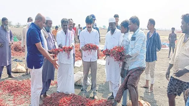 మిర్చి రైతుకు తీరని కష్టం 