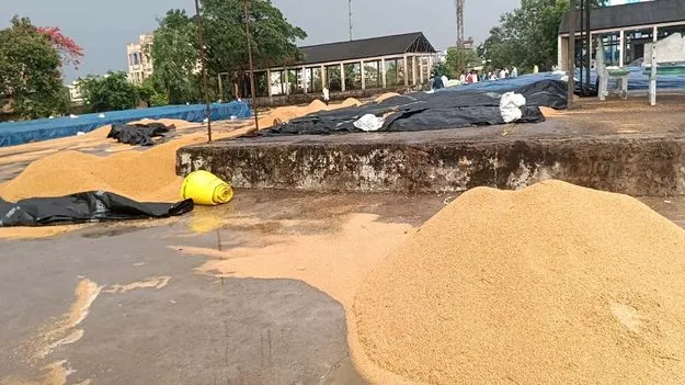 గాలి, వాన బీభత్సం