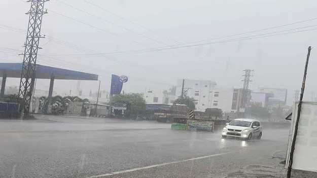 జిల్లాలో జోరువాన