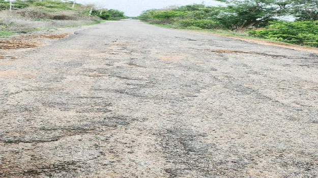 పేరుకే బీటీ.. మొత్తం గోతులే