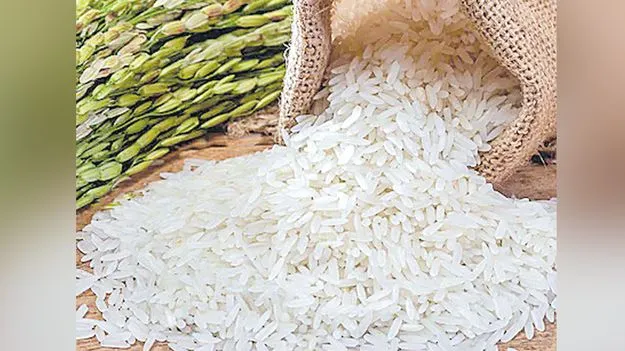 ఫిలిప్పీన్స్‌కు ఏటా 8 లక్షల టన్నుల బియ్యం!