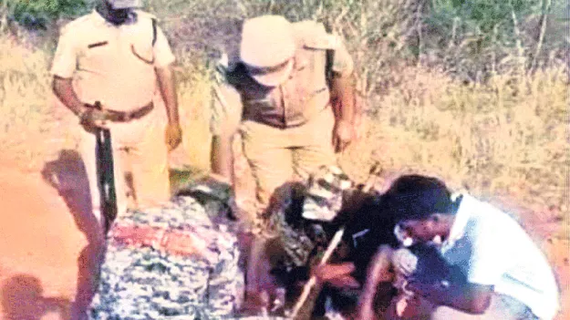 ఒంటరిగా అడవిలోకి వెళ్లొద్దు