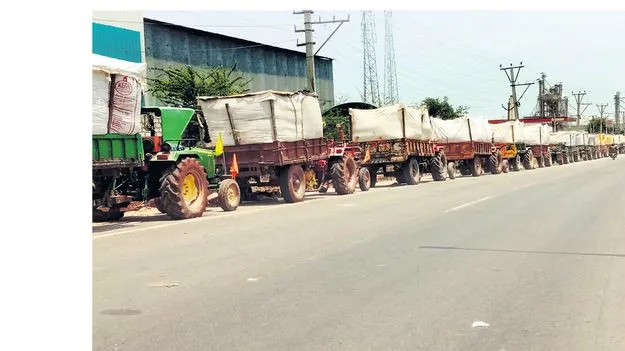 ఎన్ని మిల్లులు తిరిగినా..