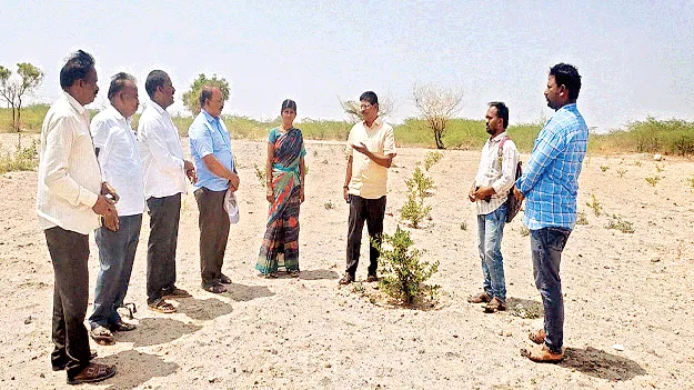 పండ్ల తోటల పెంపకానికి  ప్రోత్సాహం