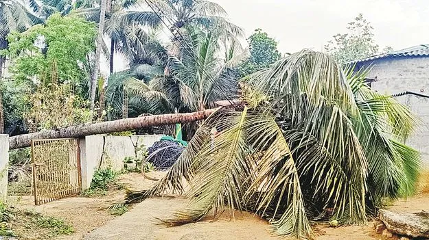 Crop Damage: పంట నష్టపోయిన రైతులకు ఎకరానికి 10 వేలు