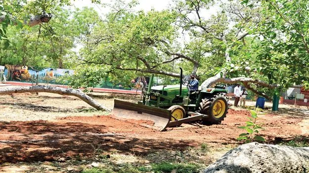 అందగత్తెల రాకతో పిల్లలమర్రికి ప్రపంచ ఖ్యాతి