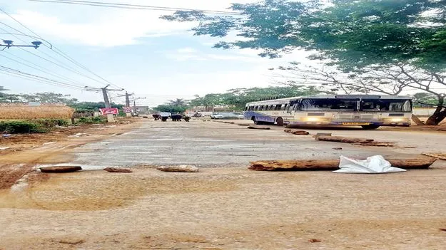 సిమెంట్ పూతలు!