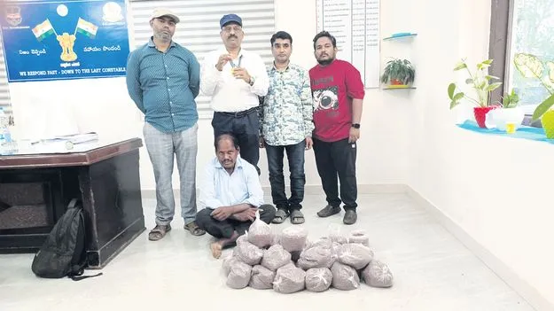 నిషేధిత బీజీ-3 పత్తి విత్తనాల పట్టివేత 