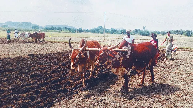 సాగుకు వేళాయే