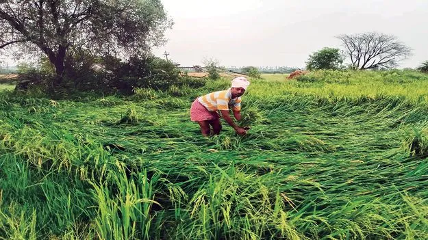 గాలివాన బీభత్సం