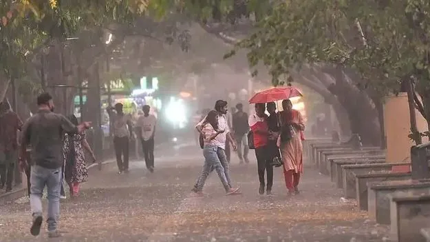 వర్షాగమనం...!