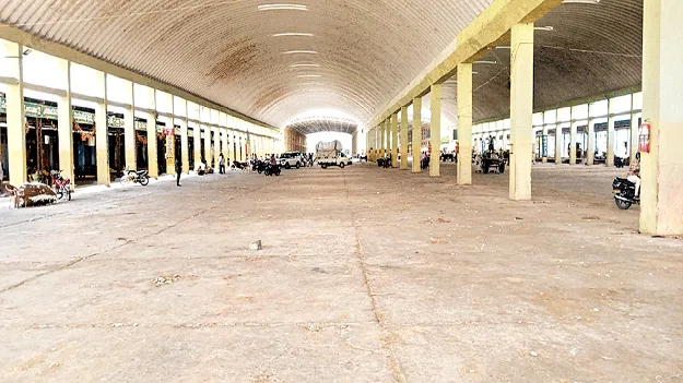 వెలవెలబోతున్నాయ్‌..!