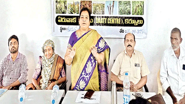 చిరుధాన్యాలను సాగు చేసుకోవాలి