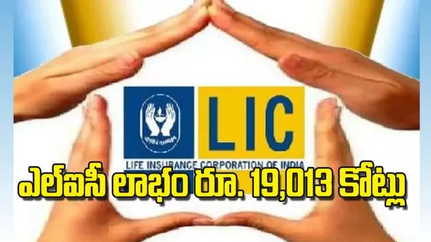 ఎల్‌ఐసీ లాభం రూ 19013 కోట్లు