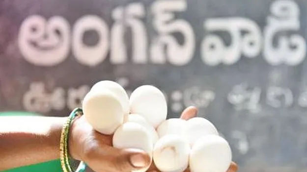 Egg Supply: జోనల్‌ వ్యవస్థను రద్దు చేయాలి 