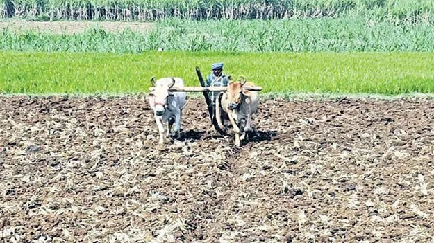 రైతుకు అండగా!