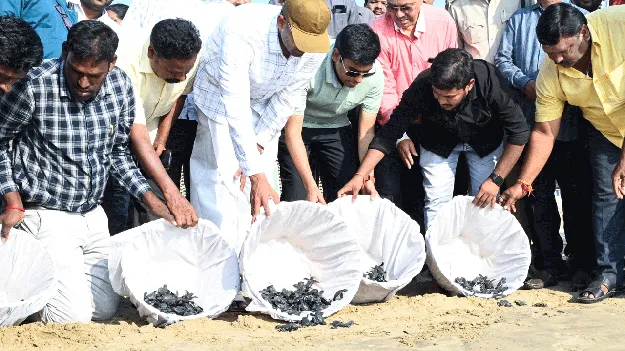 తాబేళ్ల సంరక్షణ ప్రతి ఒక్కరి బాధ్యత