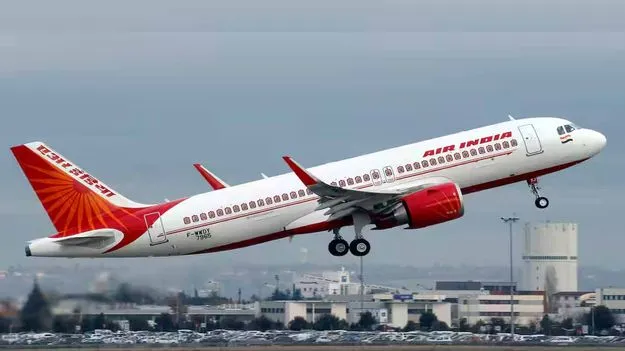 Air India Flight: ఏఐ విమానంలో తోటి ప్రయాణికుడిపై మూత్ర విసర్జన