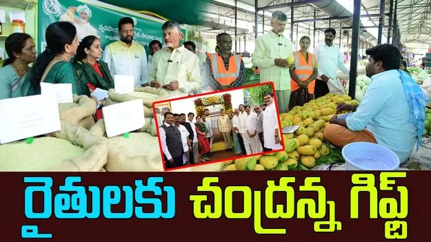 CM Chandrababu: కేంద్రం రైతులకు ఇచ్చే అమౌంట్కు సమానంగా జమ చేస్తాం, ఆ రోజు నుంచి ఉచిత బస్సు ప్రయాణ సౌకర్యం: చంద్రబాబు